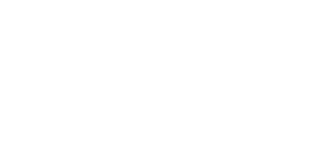 APL Logo